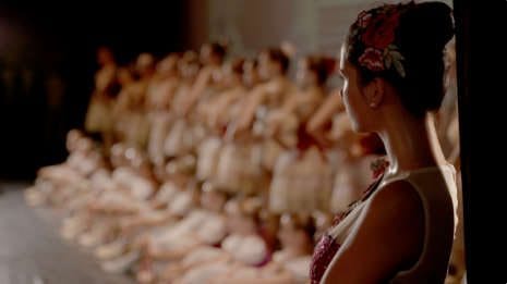 Documentaire le lac des cygnes